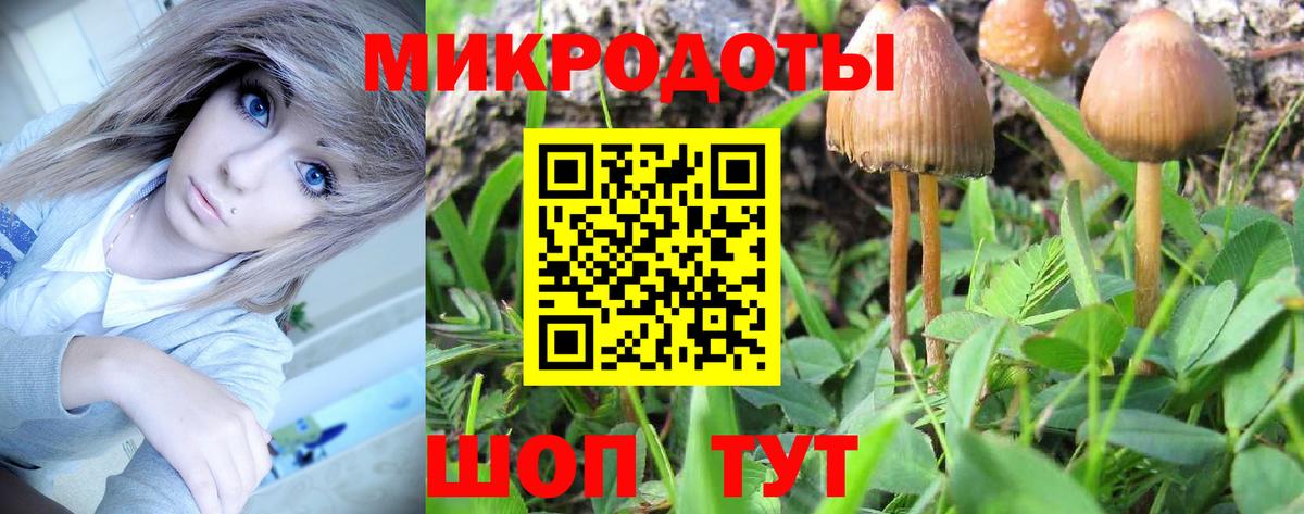 Гусев  Галлюциногенные грибы Cubensis  Вход с VPN 